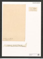 Surirella duplex L.W. (de-Toni-Nr.: Genus 53, Species 2296) Zeichnungen Sammlung Grunow (NHMW-BOT-W0372851)
